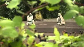 die nordstory - Menschen an der Oberweser