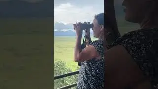 Capturing Keibul Lamjao National park, at Imphal ,Manipur