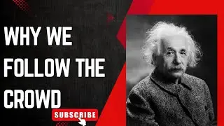 Why do we follow the crowd answering the biggest questions #trending #phlosphere #enistine