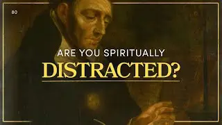 The Spiritual Danger of Distraction | MEDITATIONS | Fr Gavan Jennings