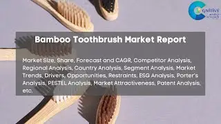 Bamboo Toothbrush Market Report 2024