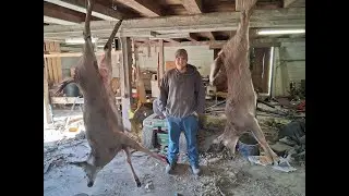 PA Rifle Season Opening Morning 2025/Crazy Double Deer
