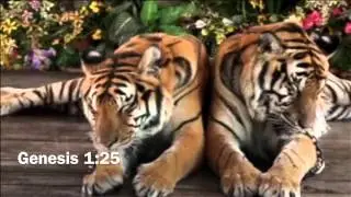 The Bible and Biogenesis