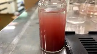 Time-lapse movie of sedimentation process for the rod-like hematite particles