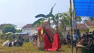 ATRAKSI MACAN ONTAL DAN BARONG PREJENG JARANAN SIDODADI BALUK LIVE KETAPANG 
