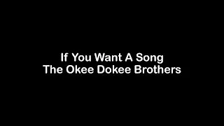 If You Want A Song   Okee Dokee Brothers Karaoke