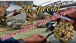 Catch and release golden mahseer by magare kira 😀😀😀😀😀