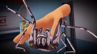 The Nope Challenge