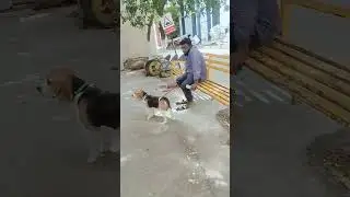 Madras veterinary hospital vepery💁 for Rocky treatment😔visiting first time🐕&zwj;🦺🦮🐕🐈🐇#videos#kj_passion