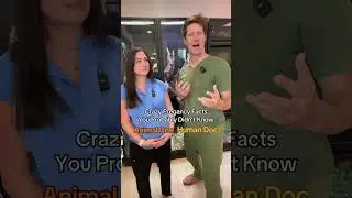 Crazy animal and human pregnancy facts!