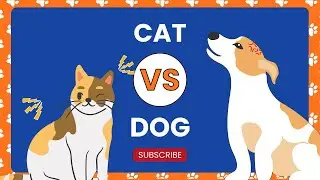 Cat and Dog: Learning to Respect Differences (Bedtime Story)