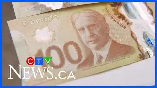 Airdrie woman fell prey to investment scam