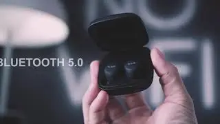 Best True Wireless Earbuds Under $100? 丨Tribit FlyBuds