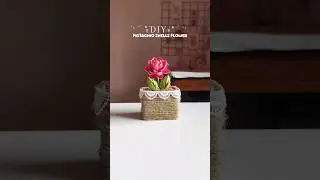 Diy Pista Shell Flower || Aesthetic Room Decor #shorts #diy #craft #viral #decor #viralshorts #art