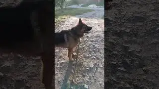 ушли далеко от дома, мой друг растерялся, 06.05.2024