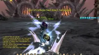 DN SEA level 40 mercenary cerberus nest solo