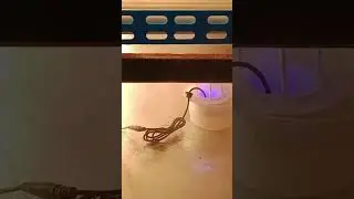 Egg incubator 🐣 80 Capacity Full Automatic Egg Hatching Incubator 🐣 #shots #viral #chickenfarm #egg