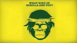 The Great Gorilla Run