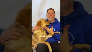 Unleashed Puppy Program - Where Puppies Learn to Thrive at Dog Daycare!
