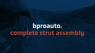 bproauto&reg; Complete Strut Assemblies