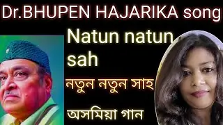 Natun Natun sah// Dr.Bhupen Hazarika song//নতুন নতুন সাহ//cover _ music in my voice 