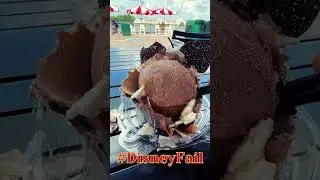 👀 Mummy Mickey Cupcake: The &lsquo;Instagram-Worthy&rsquo; Disaster at Disney! #CupcakeFail #DisneyLetdown