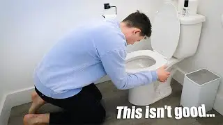 Сэму стало плохо посреди ночи :(
