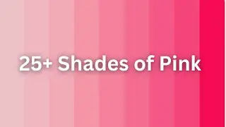 25+ Shades of Pink Color with Name #colors