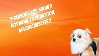 9 Big Reasons NOT to Move To Princeton Massachusetts