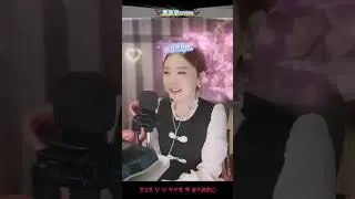 진진경 - 25곡 경쾌한 힐링 드라이브  24 06 05  Full HD