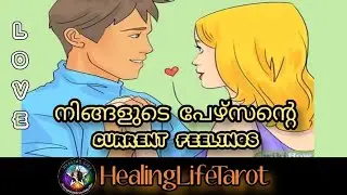 പുറമേ കാണിക്കുന്നത് നോക്കേണ്ട. മനസ്സിലുള്ളത് നോക്കാം 🥰🧿 #currentfeelings #lovetarot #lovereading 