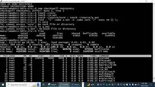CISC324 MO 3 Linux Utilities
