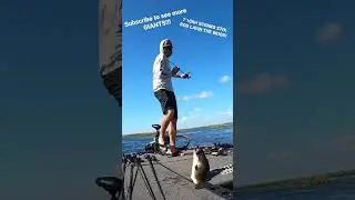 FLIP TO CATCH Big Weight BIG BASS! (Punching)  #shorts #fishing