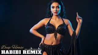 ✨ Habibi (حبيبي) — Oriental House Feel | Modern Arabic Groove