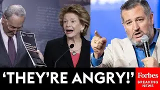 Ted Cruz: This Is Why Democrats Are Attacking The Supreme Court
