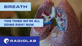 Breath | Radiolab Podcast