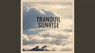 Tranquil Stars