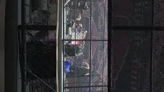 Raven's last match , it's was sad to watch .