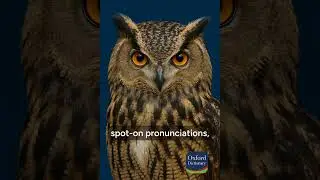Oxford Dictionary App: Speak Smart. Stay Natural