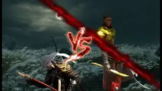 [BDO] - Ninja Awakening vs Hashashin Awakening