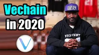 How Vechain Cryptocurrency is Solving Real World Problems in 2020 | + Zuby Merchandise SNEAK PEAK