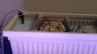 DIY overhead sump filter into hydroponics