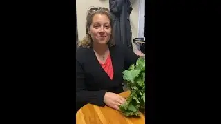Auswandern und nachhaltig leben: Frische Bio-Erzeugnisse direkt vom Hof! 🌿