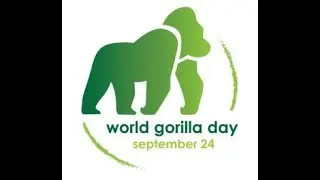 World Gorilla Day 2022