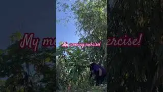 MY COMFORT SPACE| #gardening #garden #plantitasandplantitos #shortvideos #shorts