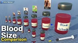 Comparison of Blood sizes in animals