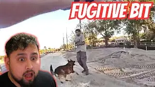 Fugitive Gets WRECKED By K9