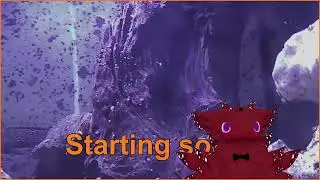 VOD: Doing Olvia Academy nonsense and other quests &bull; !discord &bull; !playlist