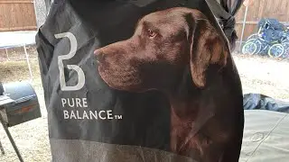 Trying Out Pure Balance Dog Food For The First Time.