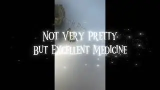Gilroy Weed Strain Review